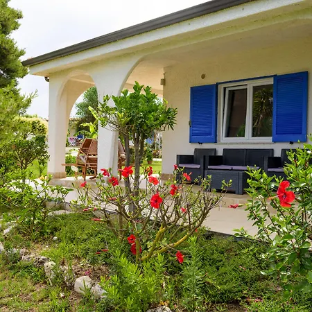 Szálloda Tuisuneo La Conchiglia - Adults Only Capo Vaticano