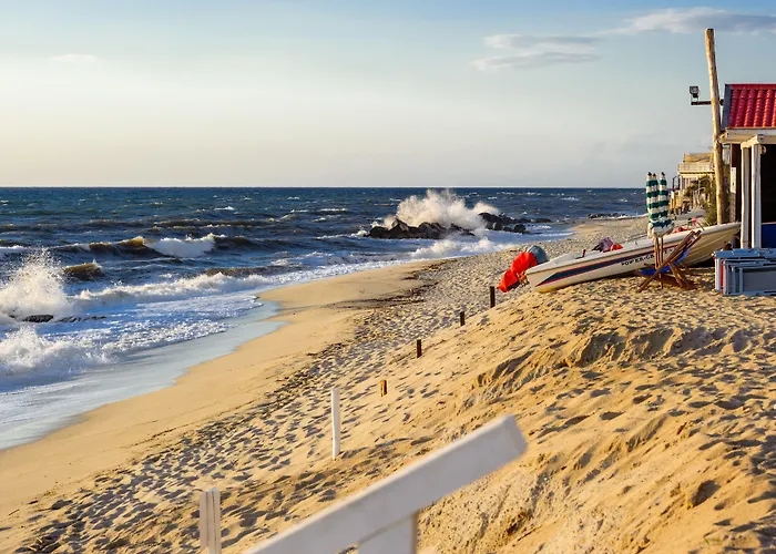 Tuisuneo La Conchiglia - Adults Only Szálloda Capo Vaticano
