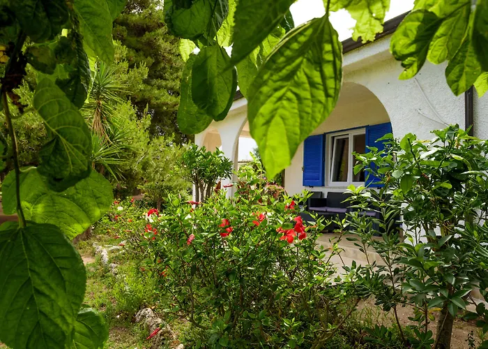 Szálloda Tuisuneo La Conchiglia - Adults Only 4*