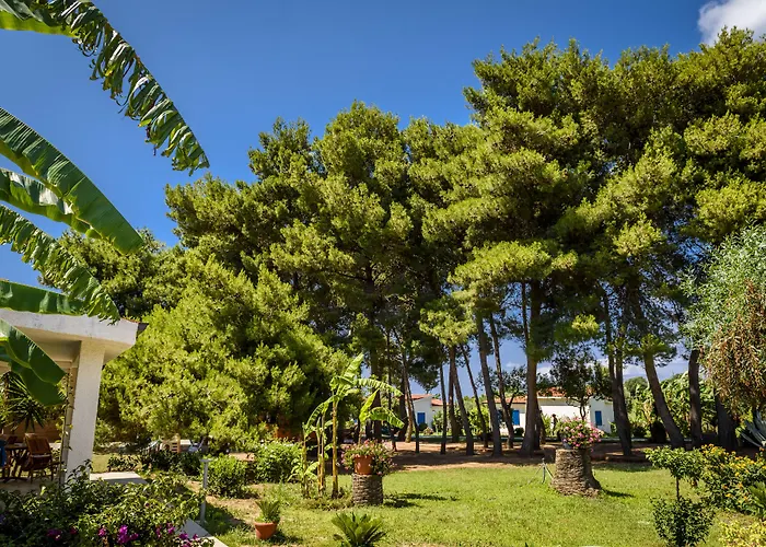 Tuisuneo La Conchiglia - Adults Only Szálloda Capo Vaticano