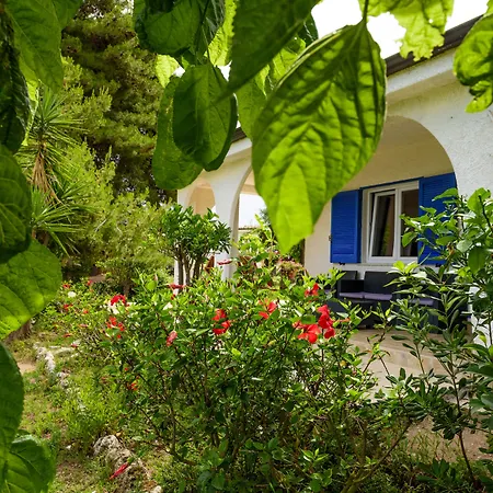 Hotel Tuisuneo La Conchiglia - Adults Only 4*