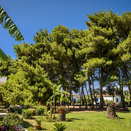 Tuisuneo La Conchiglia - Adults Only Hotel Capo Vaticano