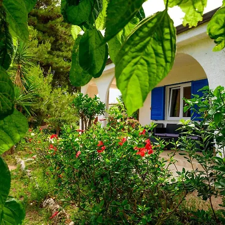 Tuisuneo La Conchiglia - Adults Only Капо-Ватикано